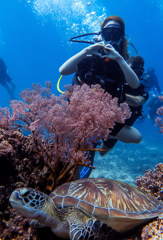 Scuba dive with turtles and pink corals in Gili Meno.