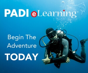 Begin the adventure today with e-learning.